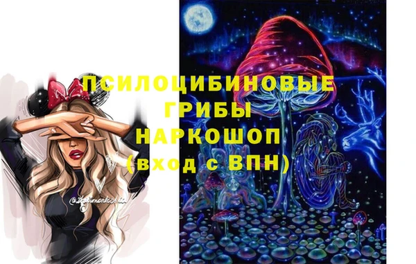 Альфа ПВП Белокуриха